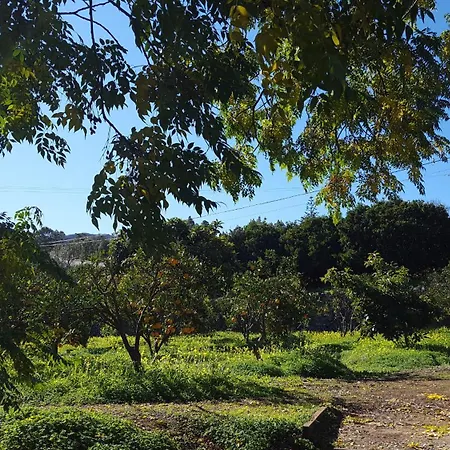 El Alpendre By Rivero Santa Brigida (Gran Canaria)