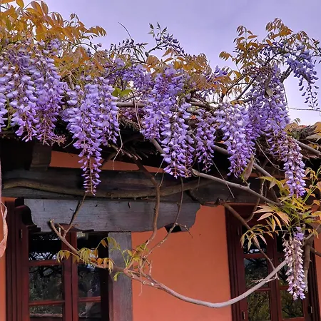 El Alpendre By Rivero Santa Brigida (Gran Canaria)